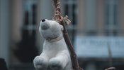 Polar bear toy hung up on a twig in protest