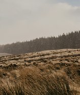 nathan-mcdine-LEzdbkiVock-unsplash