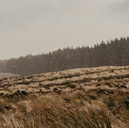 nathan-mcdine-LEzdbkiVock-unsplash