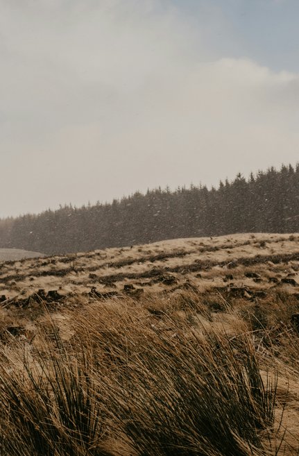 nathan-mcdine-LEzdbkiVock-unsplash