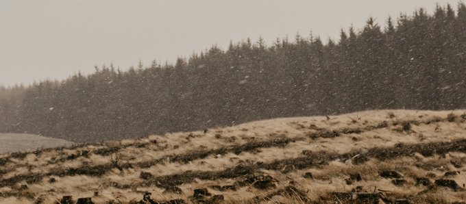 nathan-mcdine-LEzdbkiVock-unsplash