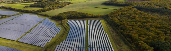 shutterstock_2708421725