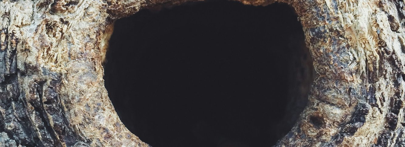 wj-l9K18P1Dewc-unsplash