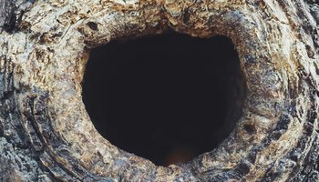 wj-l9K18P1Dewc-unsplash